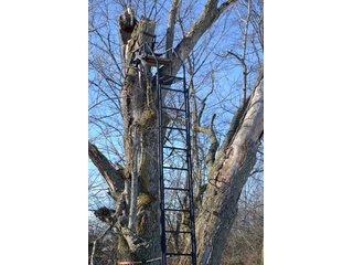 54.7 Acres with 50 tillable and 4.3 wooded.  Surrounded by heavy deer population on CRP land.  Great trophy deer hunting on established food plots.  Hunting tower.

Receive income on tillable acres while abundance of deer hunting on established food plot. - Great Investment Opportunity - Tillable Land, Recreation & Building Site